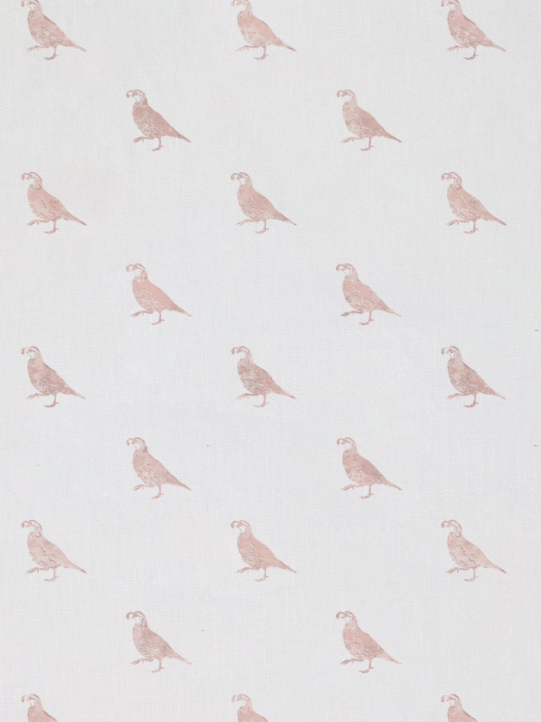 &#39;California Quail&#39; Linen Fabric - Pink