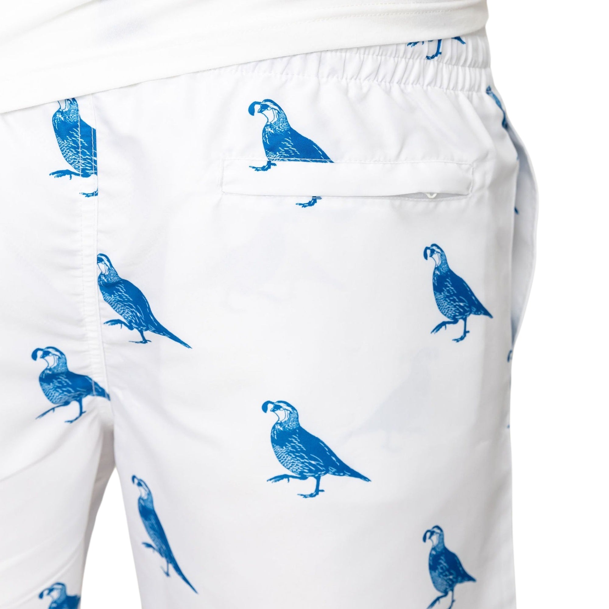 Men's California Quail Swim Shorts