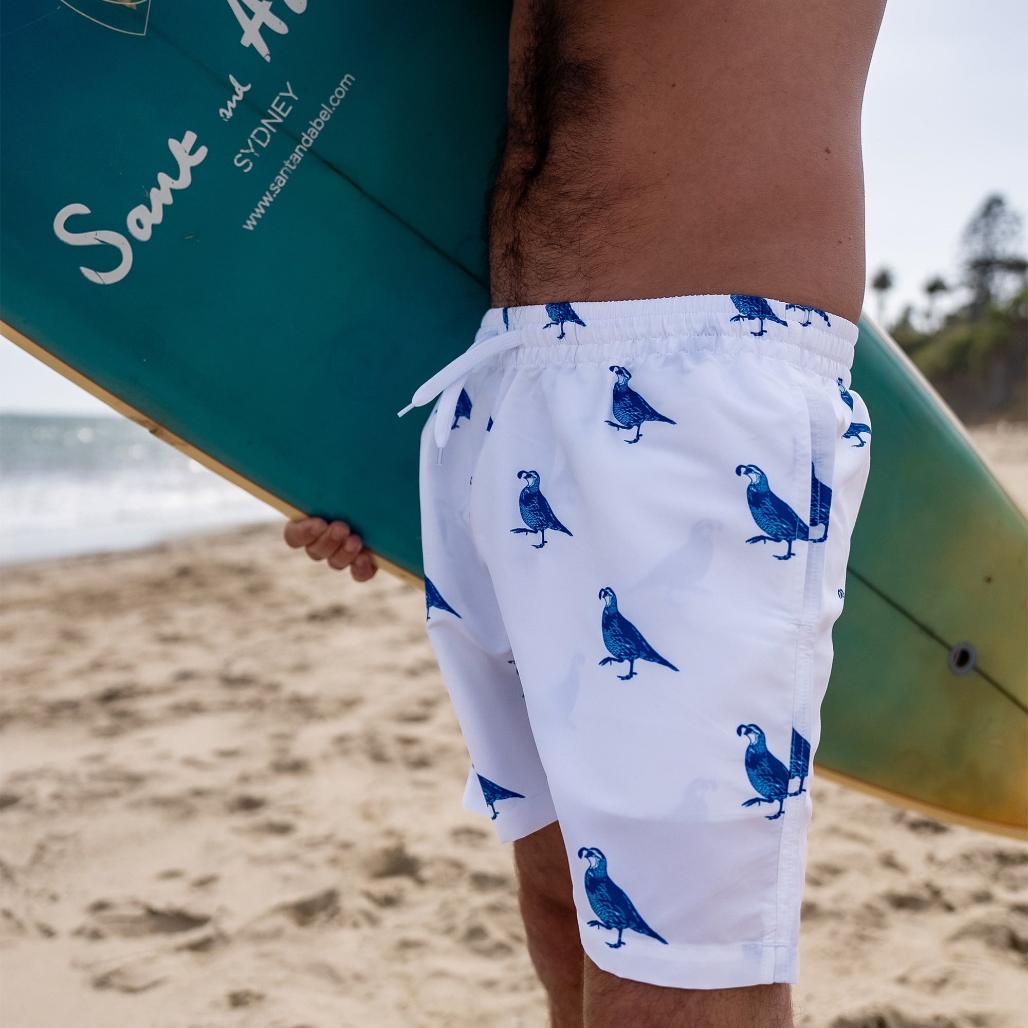 Men's California Quail Swim Shorts