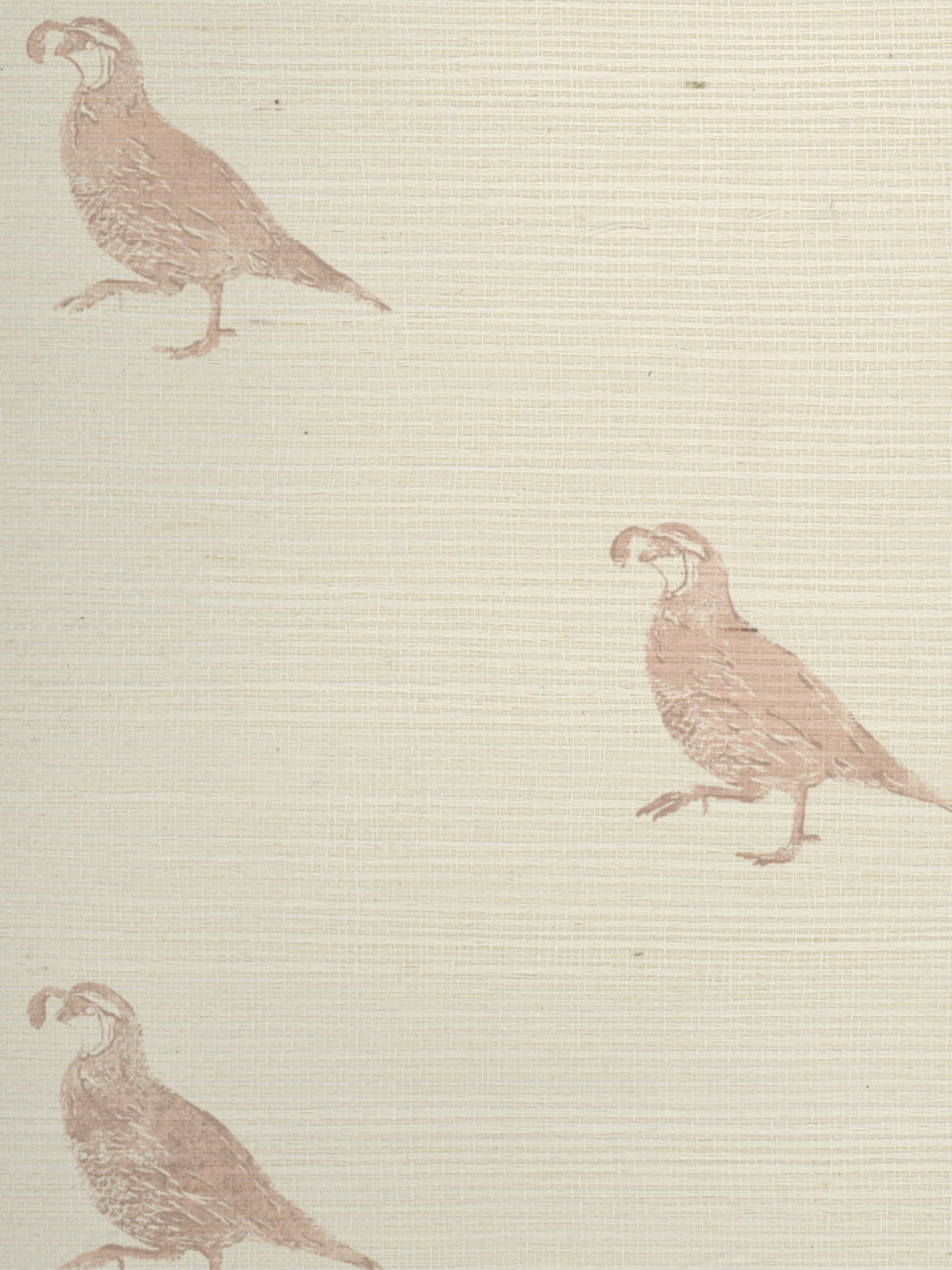 &#39;California Quail&#39; Grasscloth Wallpaper - Pink