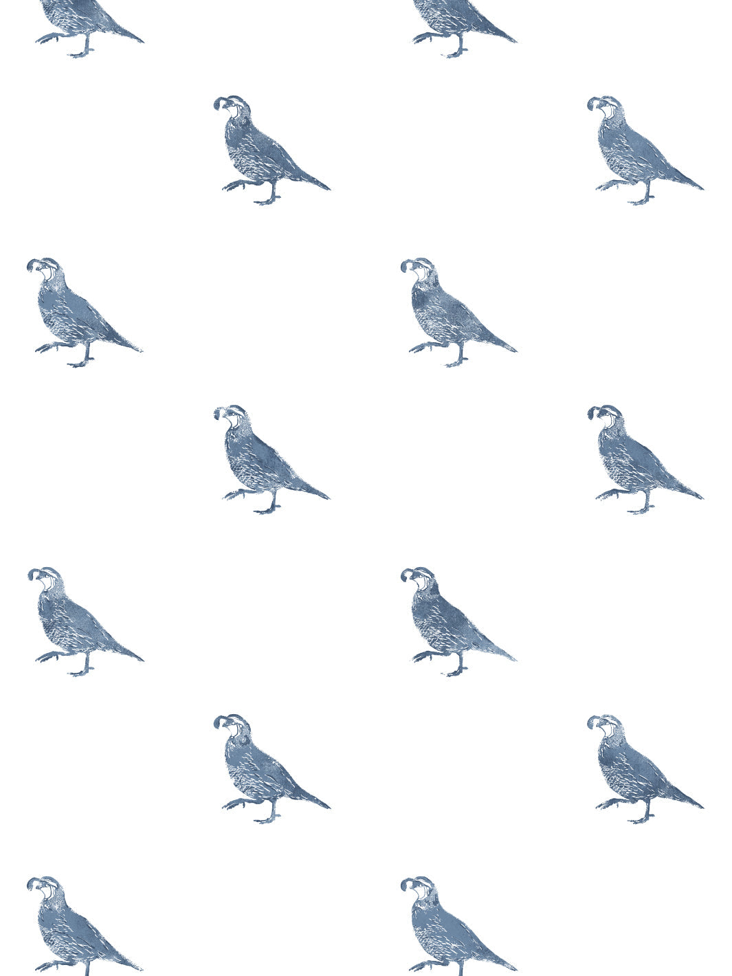 &#39;California Quail&#39; Wallpaper by Nathan Turner - Darker Blue