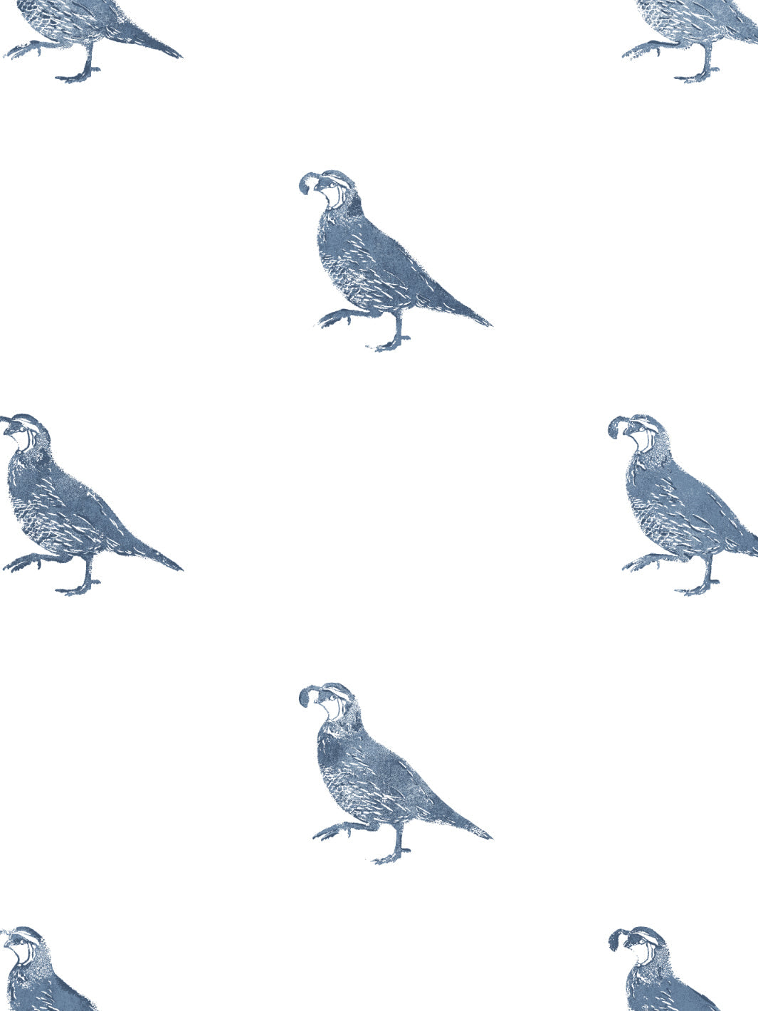 &#39;California Quail&#39; Wallpaper - Darker Blue