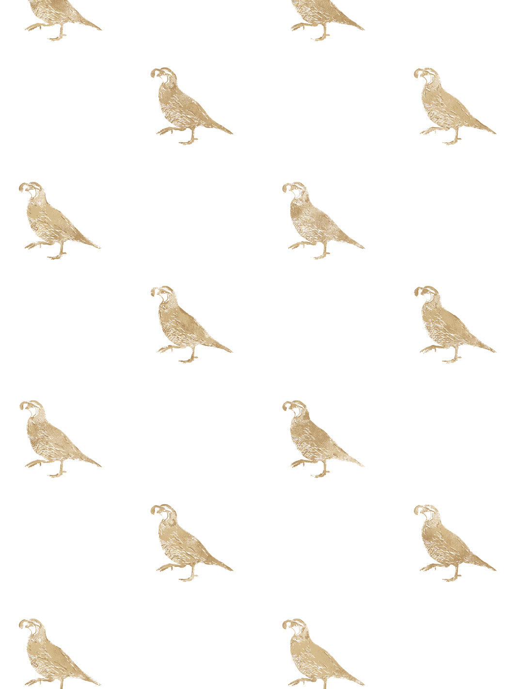 &#39;California Quail&#39; Wallpaper by Nathan Turner - Gold