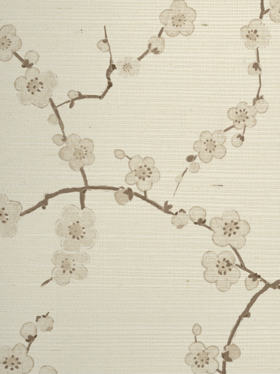 &#39;Cherry Blossom&#39; Grasscloth Wallpaper - Neutral