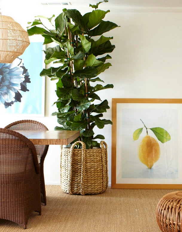 Colorful Malibu Beach House – Nathan Turner