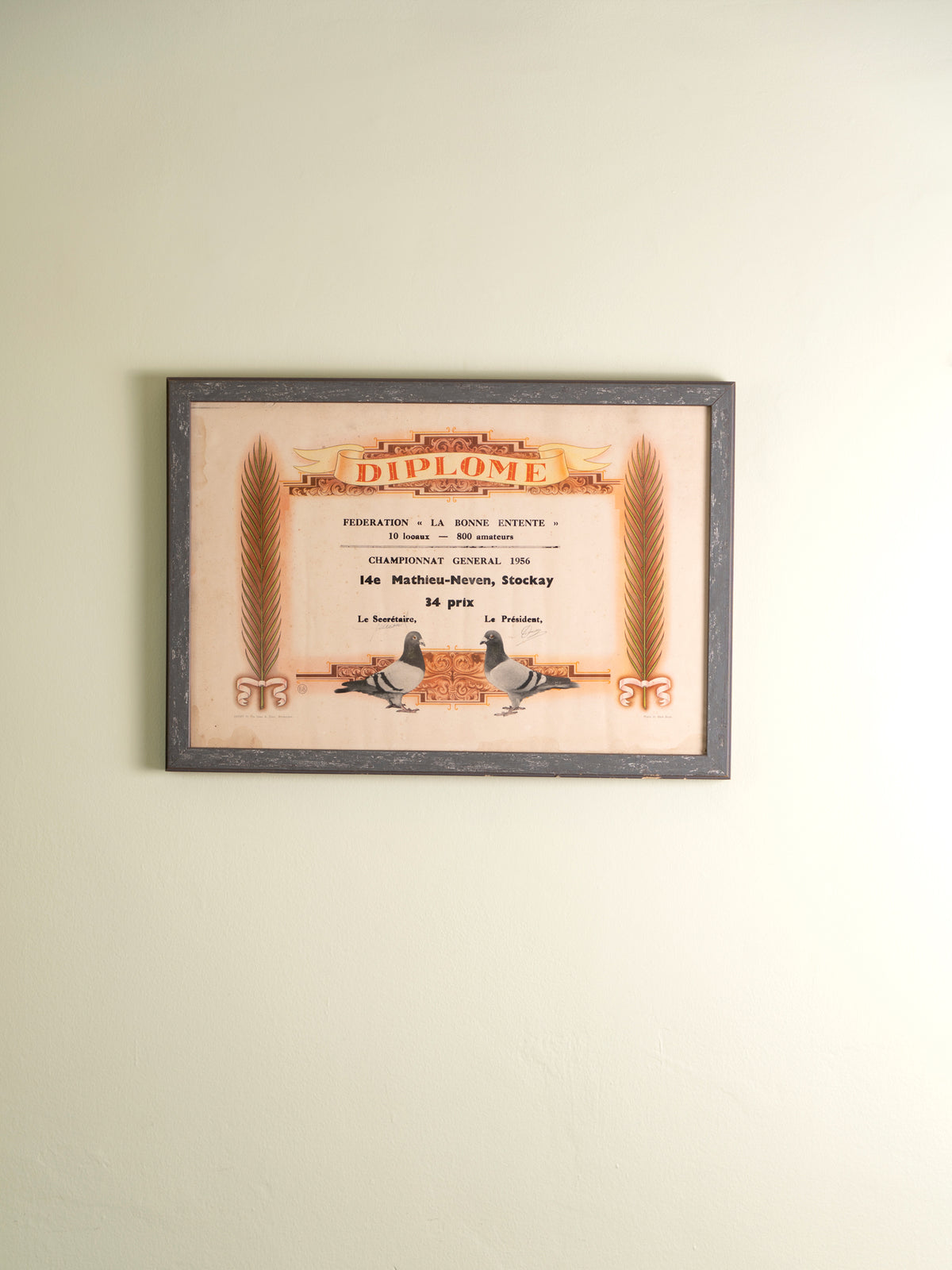 Small framed vintage print of a pigeon