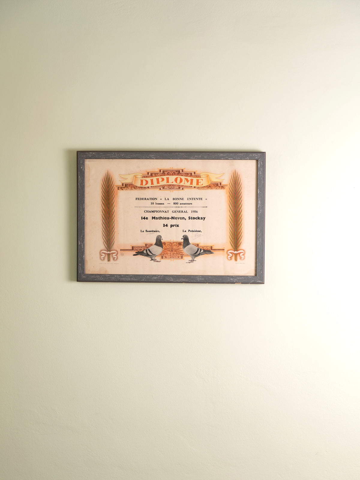 Small framed vintage print of a pigeon