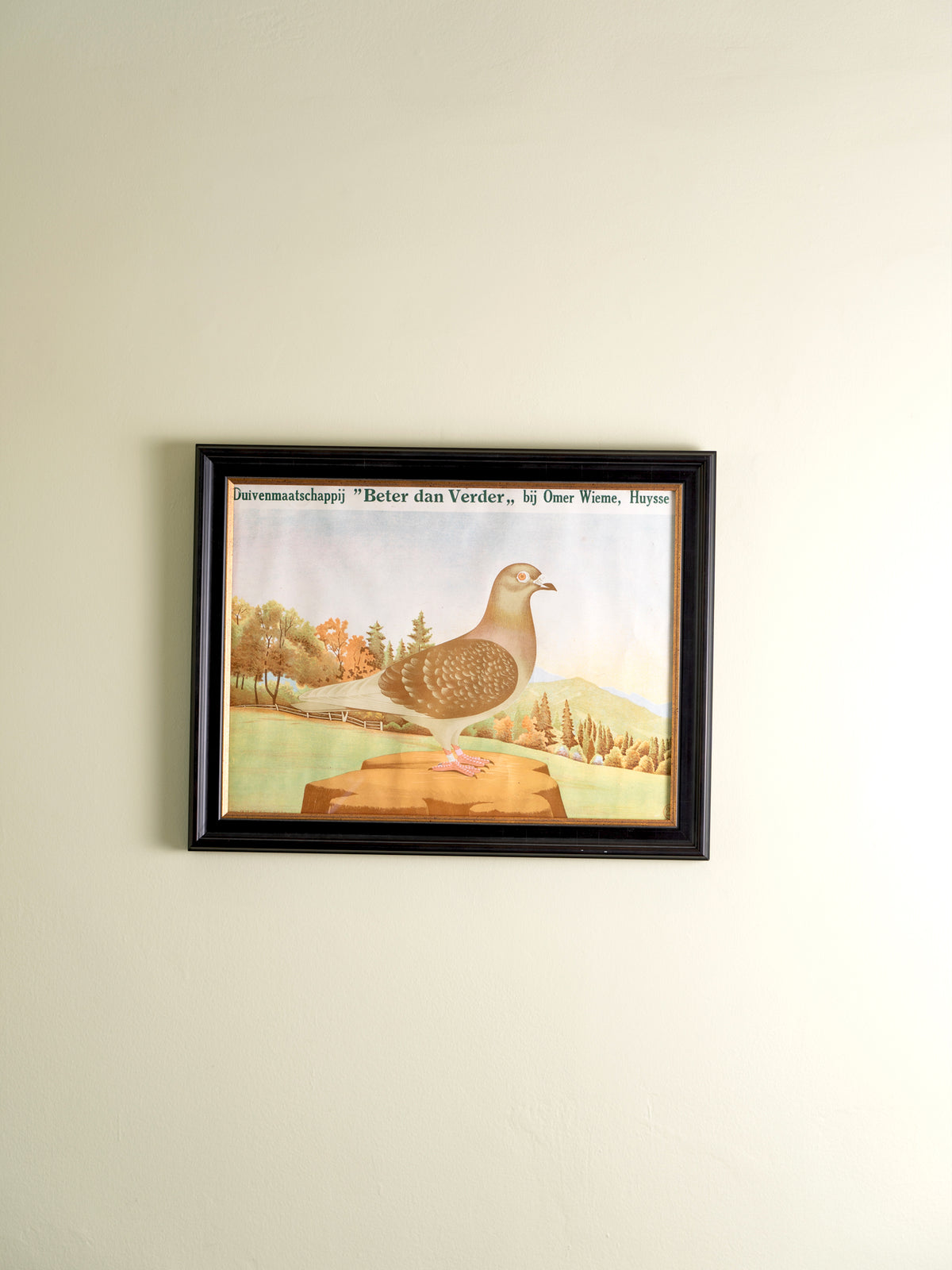 Small framed vintage print of a pigeon