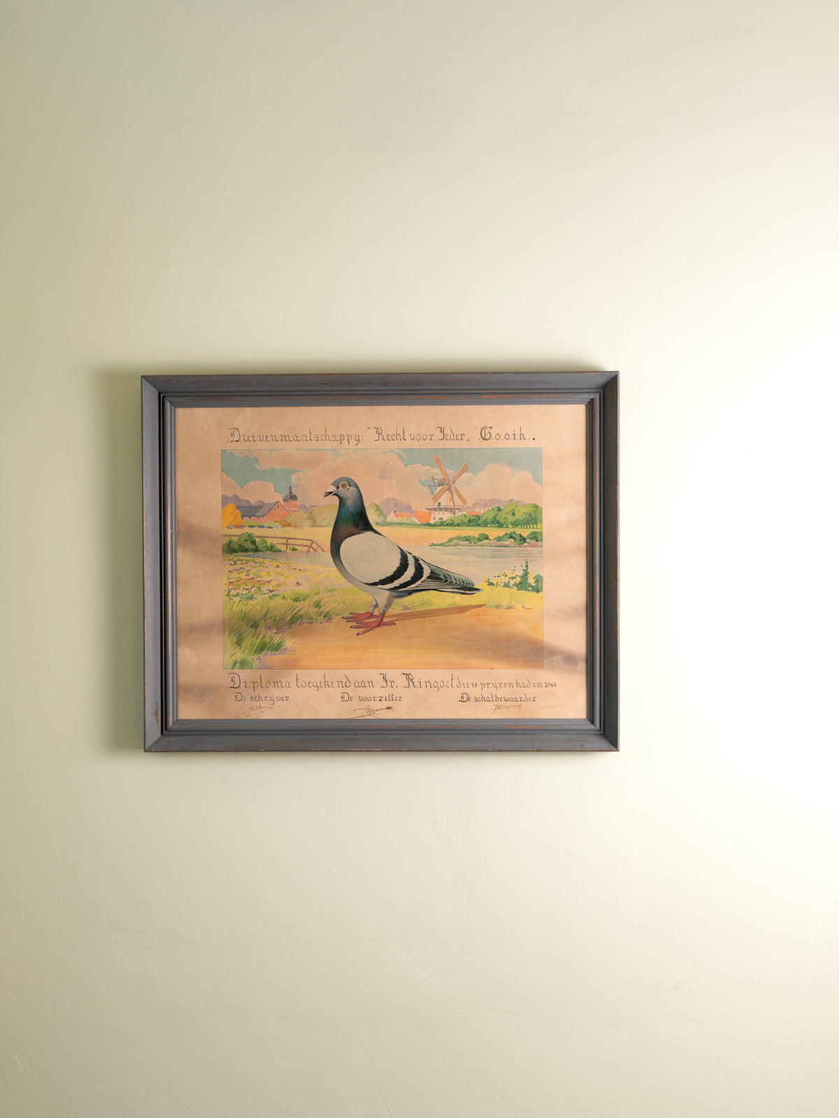Small framed vintage print of a pigeon